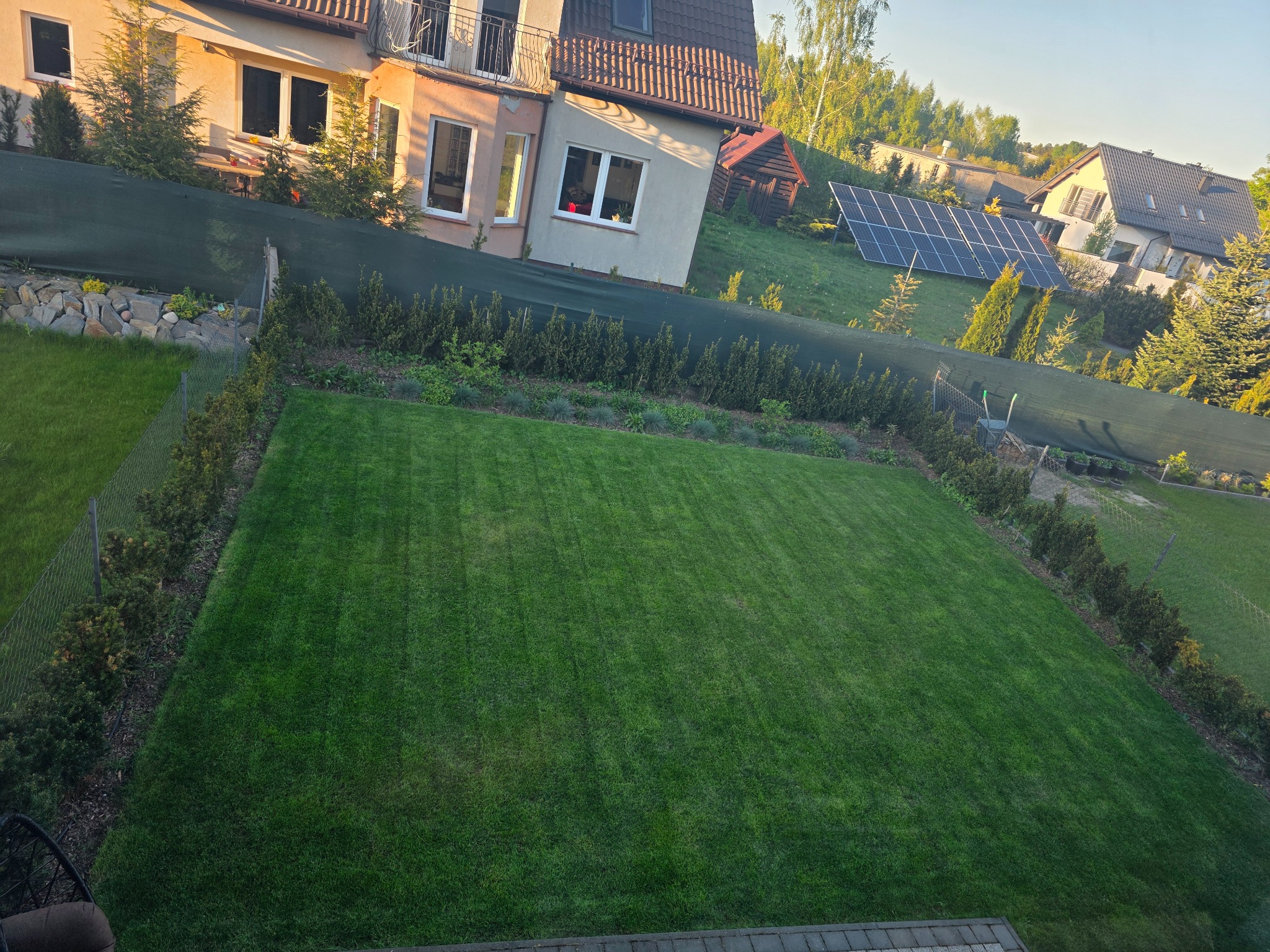 14 dni po wertykulacji