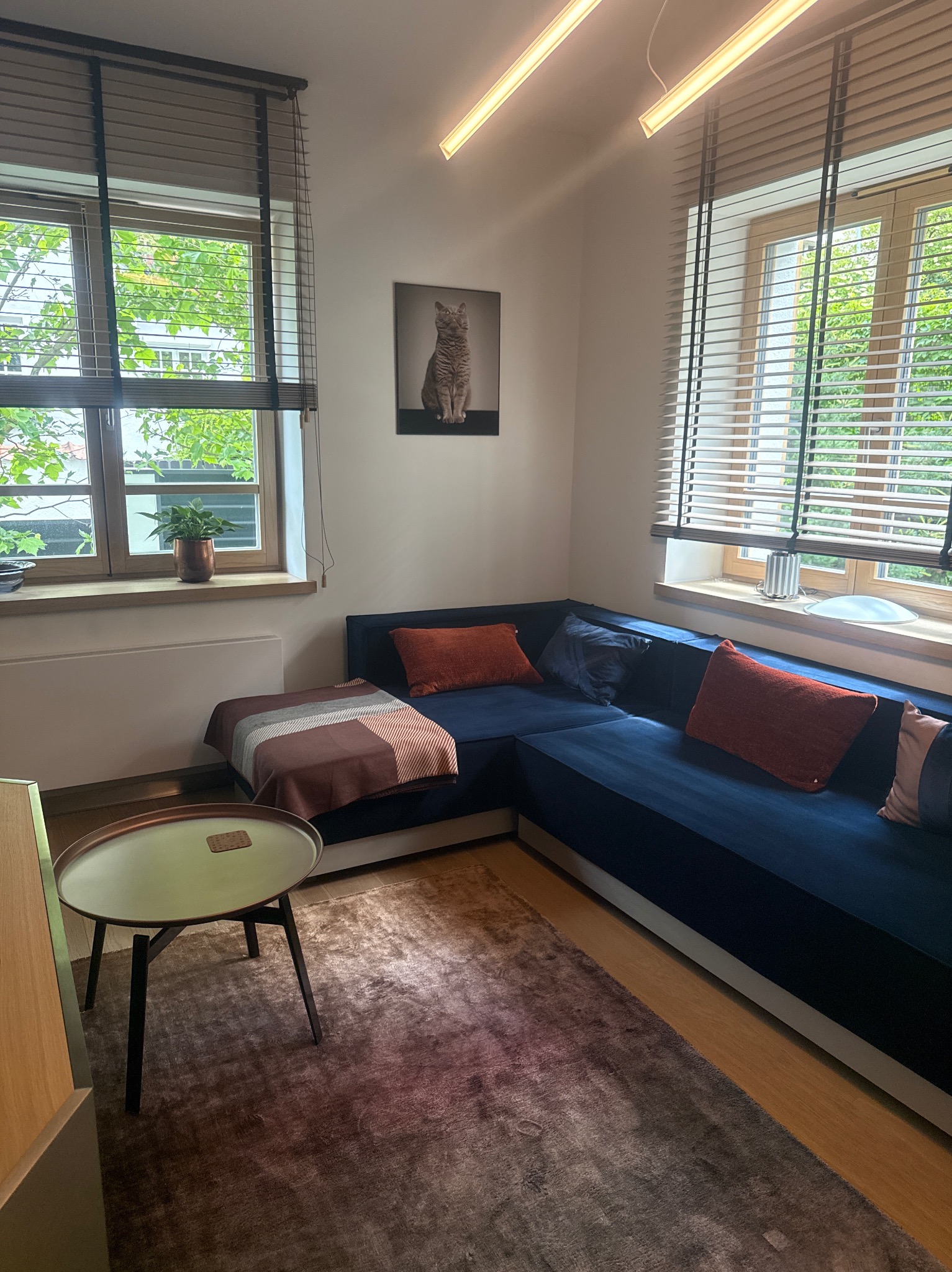 Jasne wnętrze pokoju z niebieską sofą narożną, drewnianymi żaluzjami i stolikiem kawowym. Na ścianie wisi obraz z kotem. Widok z perspektywy podłogi.