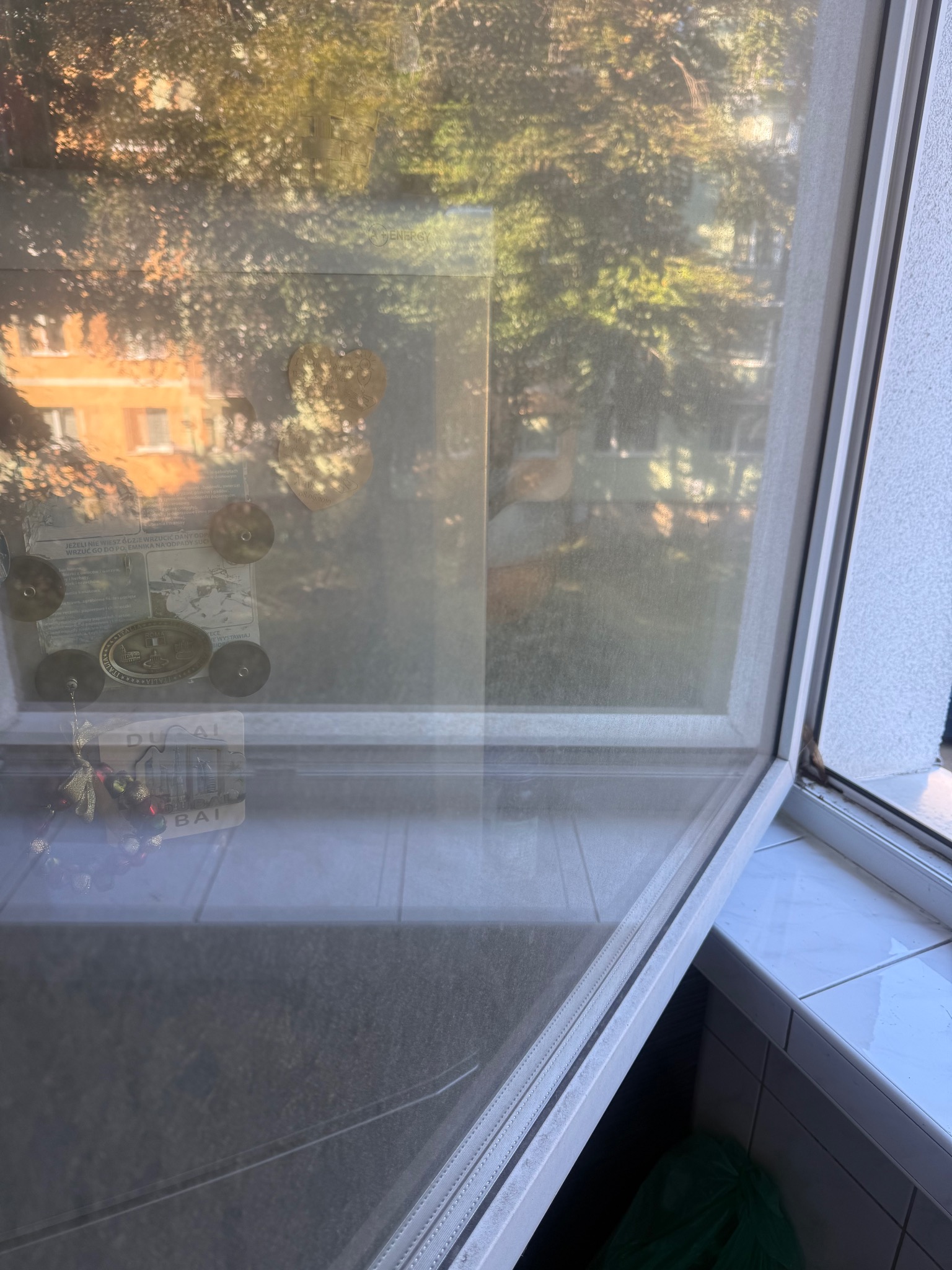 Brudne okno z naklejkami i pamiątkami, widok na zieleń za oknem. Potrzeba mycia okien, widoczne zabrudzenia na szybie i ramie okiennej.