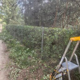 Pielęgnacja ogrodów Ostroróg 2