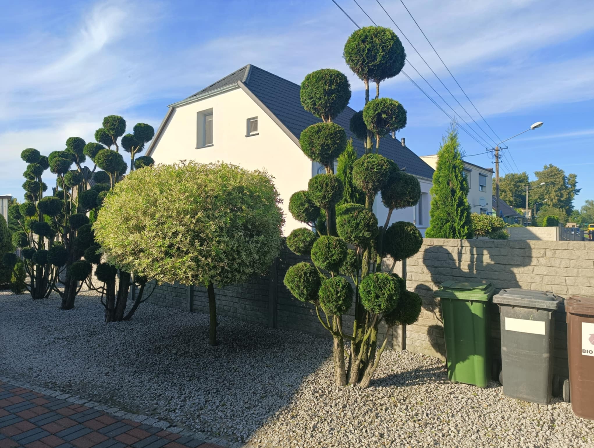 Ogród z formowanymi drzewami kulistymi i stożkowymi na tle białego domu z szarą dachówką i niebieskiego nieba. Dekoracyjny żwir na rabatach.