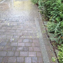 TK Clean Krzysztof Tkocz - Mokra, brązowa kostka brukowa z zielonymi porostami w szczelinach, częściowo umyta, z widocznymi śladami wody. Obok rosną krzewy.