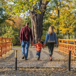 Zatrzymane w Czasie - Rodzina spaceruje po drewnianym moście w jesiennym parku, widok z tyłu, liście na ziemi, duże drzewo w tle.
