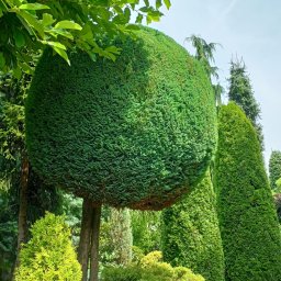 Krystian Majcherowski - Zakładanie Trawników Częstochowa