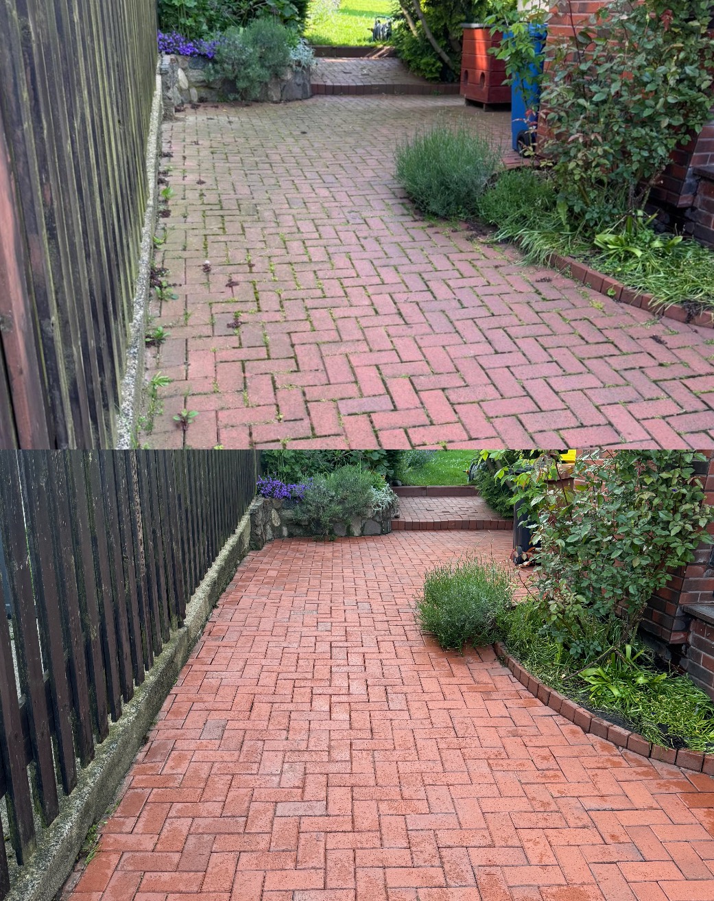 Zdjęcie 'przed i po' czyszczenia czerwonej kostki brukowej na posesji. Widoczne różnice w czystości spoin i powierzchni kostki. Zarośnięty brzeg ścieżki.