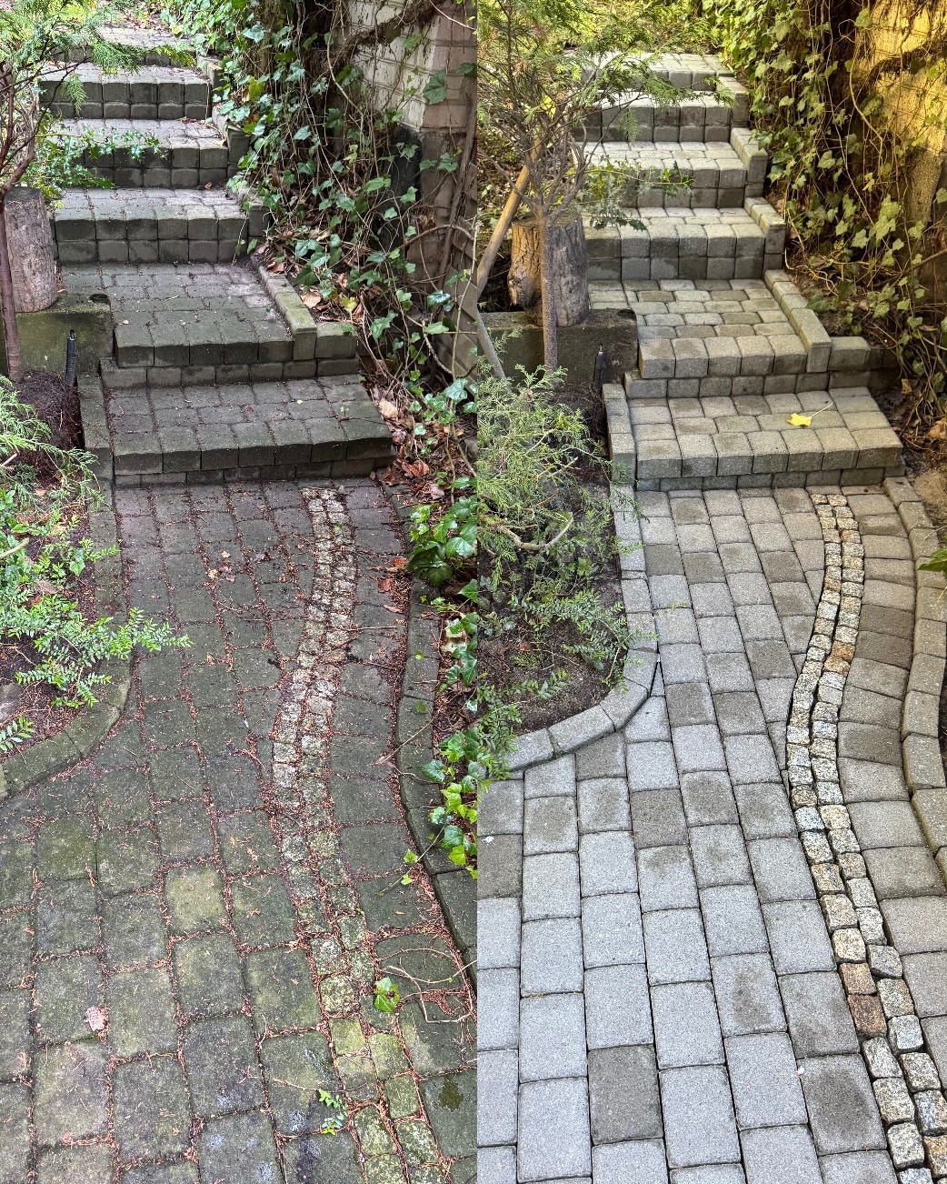 Kostka brukowa przed i po czyszczeniu, schody i ścieżka z wyraźną różnicą w kolorze, zarośnięta roślinnością. Efekt czyszczenia kostki brukowej.