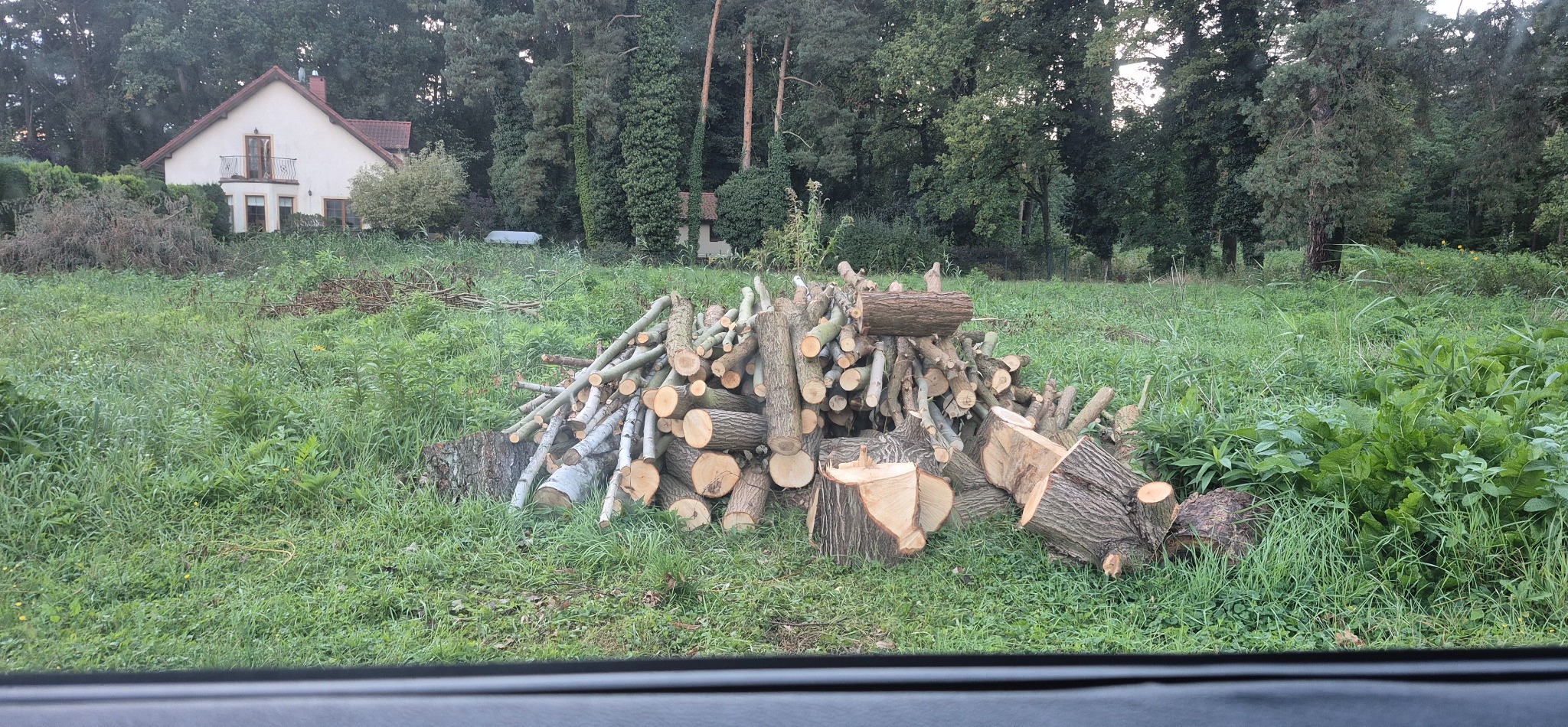 Stos pociętych pni i gałęzi drzew na zarośniętej trawie, w tle dom z balkonem i wysokie drzewa. Widok zza szyby samochodu.