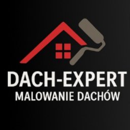 Malowanie Dach&oacute;w Stare Miasto - Wymiana Rynien Stare Miasto