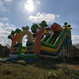 Kolorowy, dmuchany zamek ze zjeżdżalnią, stylizowany na leśną scenerię z motywem ryby na szczycie, ustawiony na trawiastym terenie pod błękitnym niebem z chmurami.