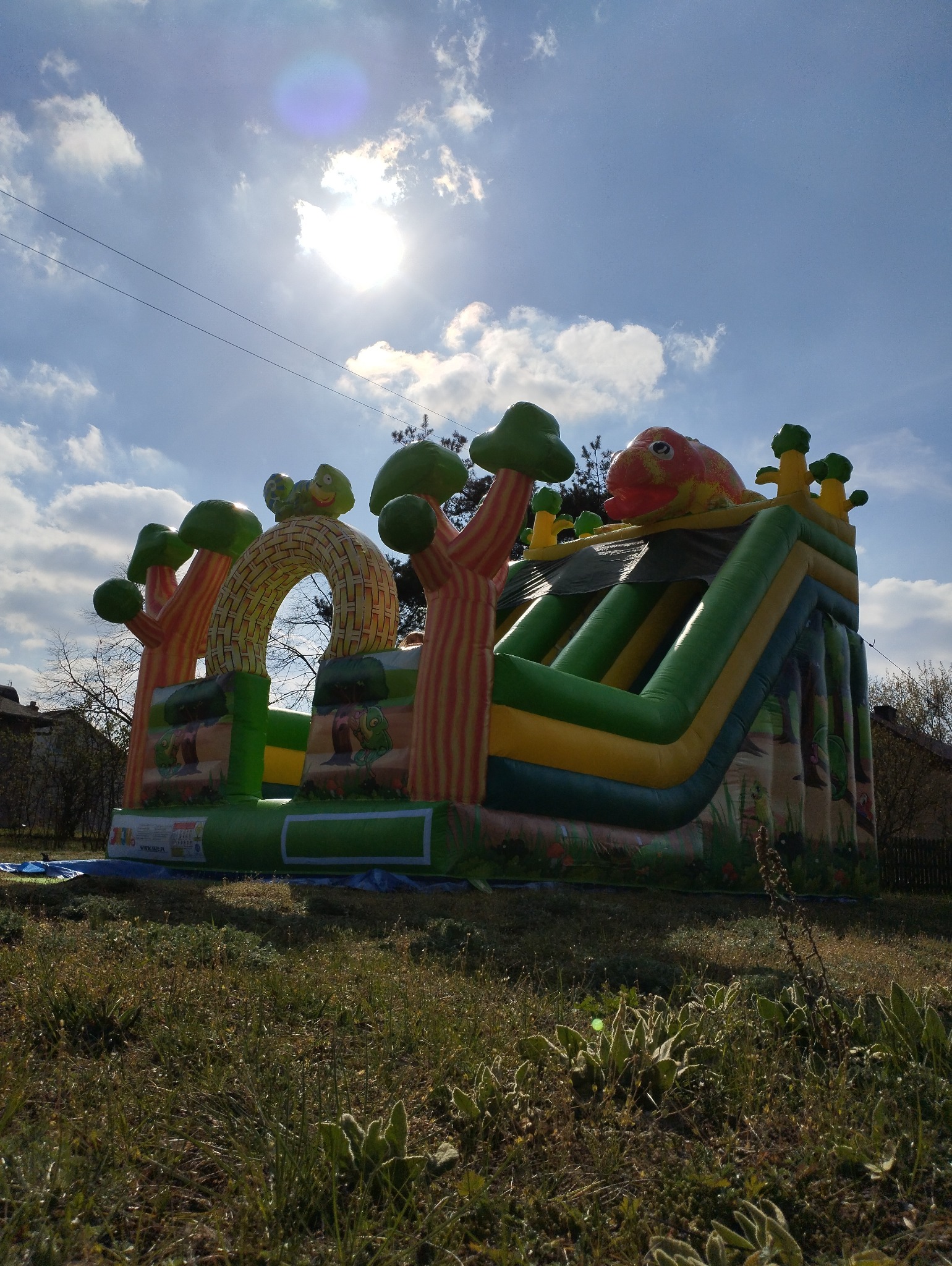 Kolorowy, dmuchany zamek ze zjeżdżalnią, stylizowany na leśną scenerię z motywem ryby na szczycie, ustawiony na trawiastym terenie pod błękitnym niebem z chmurami.