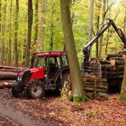 KAS-CAR BARTŁOMIEJ KASPRZAK - Czerwony traktor z hydraulicznym ramieniem załadowuje ścięte pnie drzew na przyczepę w leśnym otoczeniu, widoczne ślady opon na błotnistym podłożu.