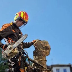 Oleksandr Kotov, Warszawski Arborysta - Arborysta w kasku i kombinezonie tnący pień drzewa piłą spalinową Stihl na tle błękitnego nieba. Wióry lecą z ciętego drewna.
