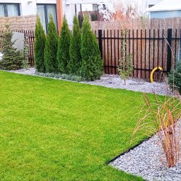 Sadzenie drzew Piastów 1