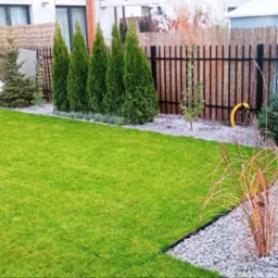 Widok na zadbany trawnik z rolki, otoczony ozdobnymi krzewami i trawami na tle nowoczesnego domu z drewnianym płotem.