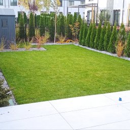 Sadzenie drzew Piastów 2