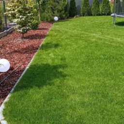 Zadbany trawnik w ogrodzie z drzewami iglastymi i liściastymi, obrzeża wyłożone korą, w tle zabudowa szeregowa.