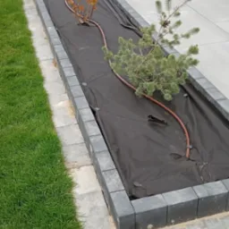 Kadr z góry na wąską rabatę wyłożoną czarną agrowłókniną, w której posadzono małą sosnę i krzew ozdobny, z brązową linią nawadniającą, obrzeże rabaty z szarych kostek, obok trawnik i szara kostka...