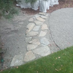 Sadzenie drzew Piastów 3