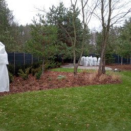 Sadzenie drzew Piastów 4