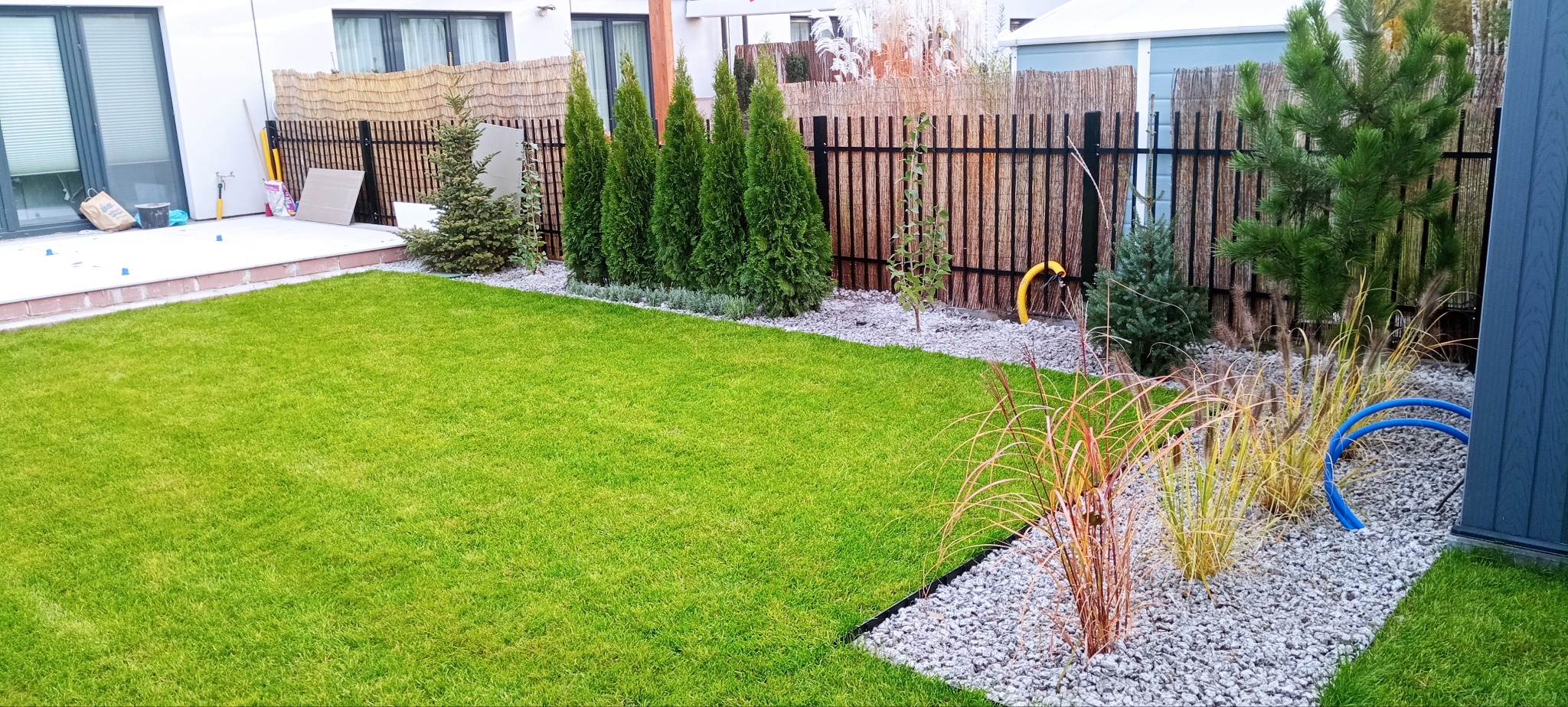 Widok na zadbany trawnik z rolki, otoczony ozdobnymi krzewami i trawami na tle nowoczesnego domu z drewnianym płotem.