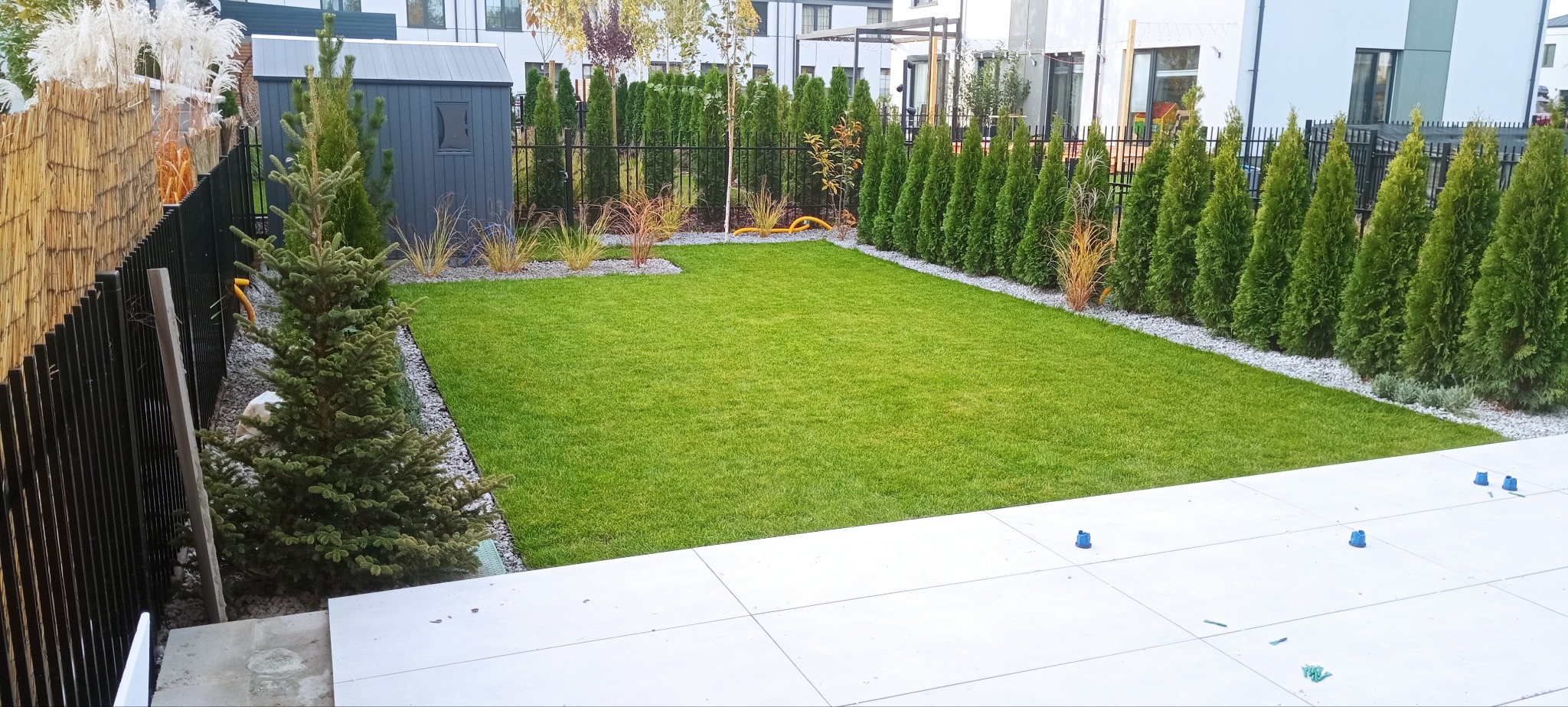 Nowoczesny ogród z równo przystrzyżonym trawnikiem, obrzeżami z białego kamienia, rzędem tuj i młodymi drzewkami iglastymi przy płocie, widok z tarasu.