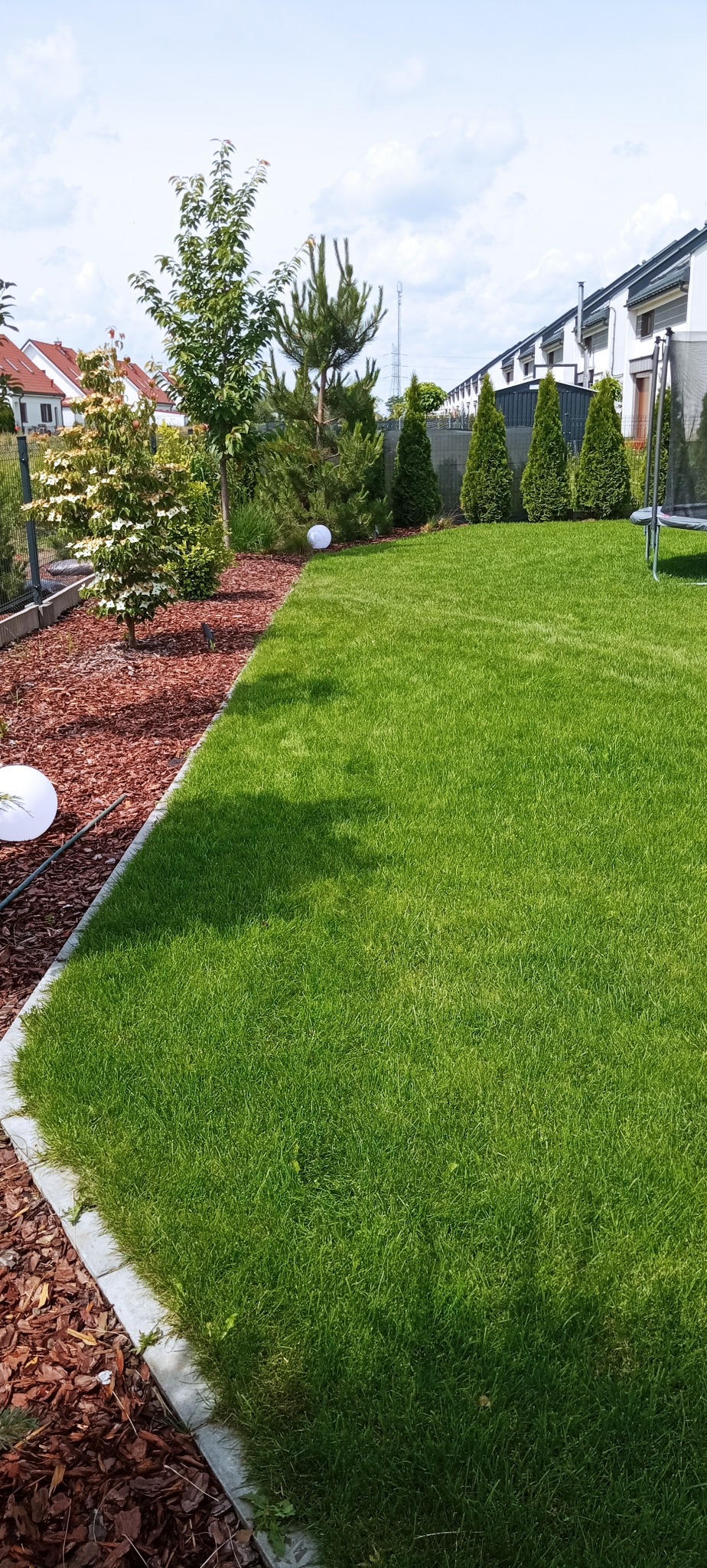 Zadbany trawnik w ogrodzie z drzewami iglastymi i liściastymi, obrzeża wyłożone korą, w tle zabudowa szeregowa.