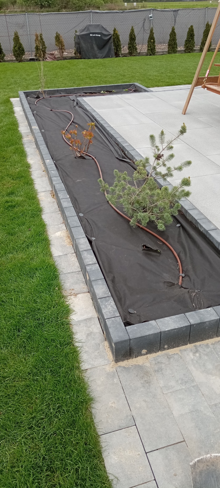 Kadr z góry na wąską rabatę wyłożoną czarną agrowłókniną, w której posadzono małą sosnę i krzew ozdobny, z brązową linią nawadniającą, obrzeże rabaty z szarych kostek, obok trawnik i szara kostka...