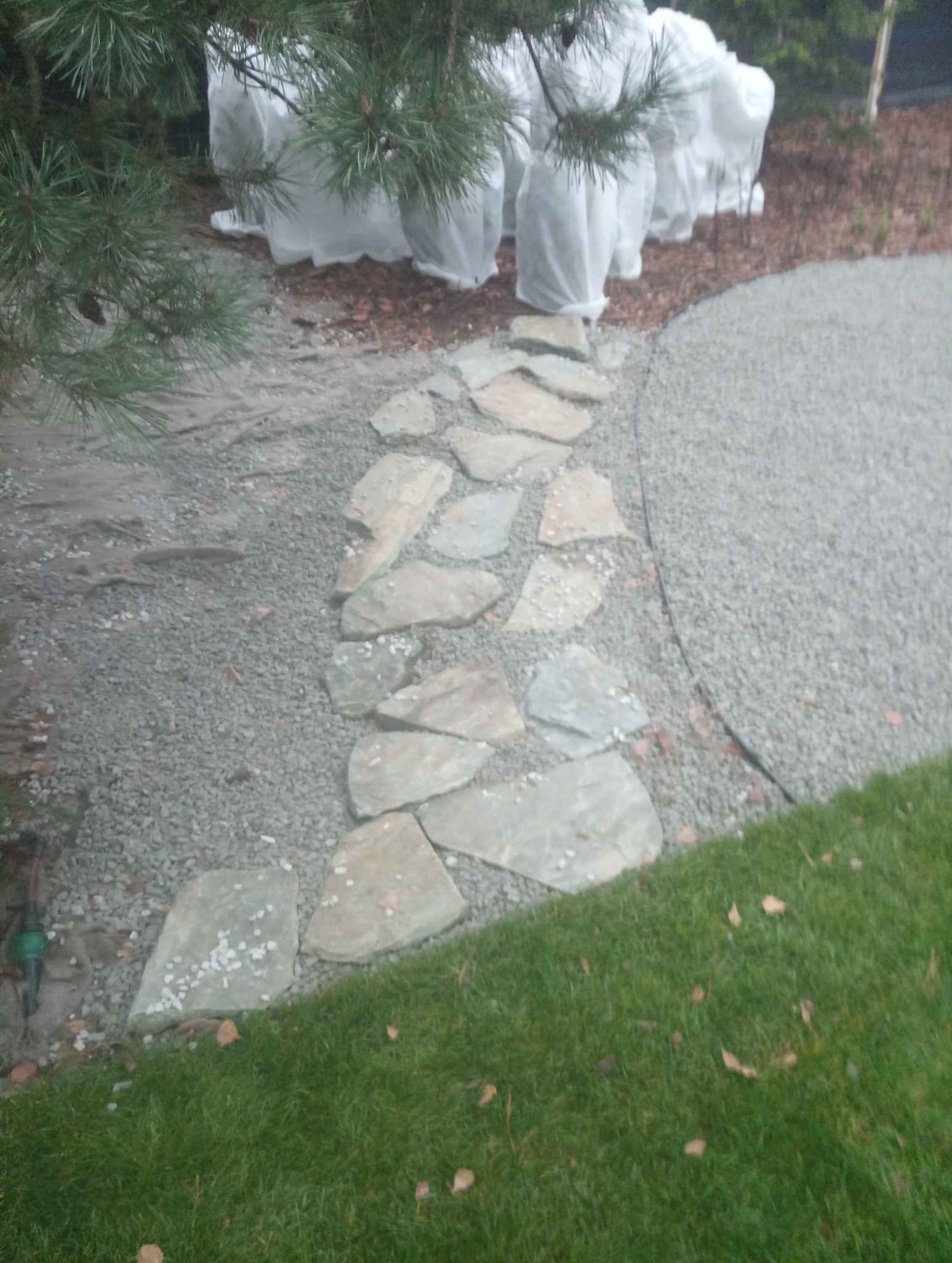 Ścieżka z nieregularnych kamieni na żwirowym podłożu, obok trawnik i rośliny zabezpieczone na zimę. Element aranżacji ogrodu.