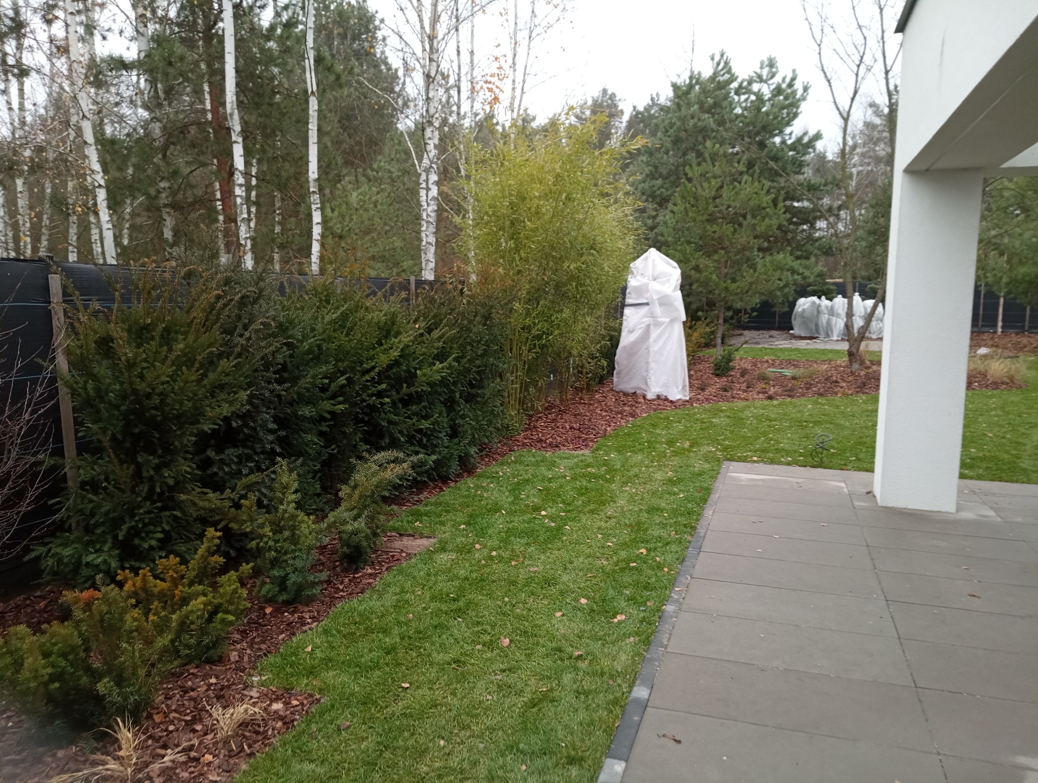 Jesienny ogród z równo przystrzyżonym trawnikiem, zabezpieczonymi na zimę roślinami i rabatami wyłożonymi korą, widok z tarasu.