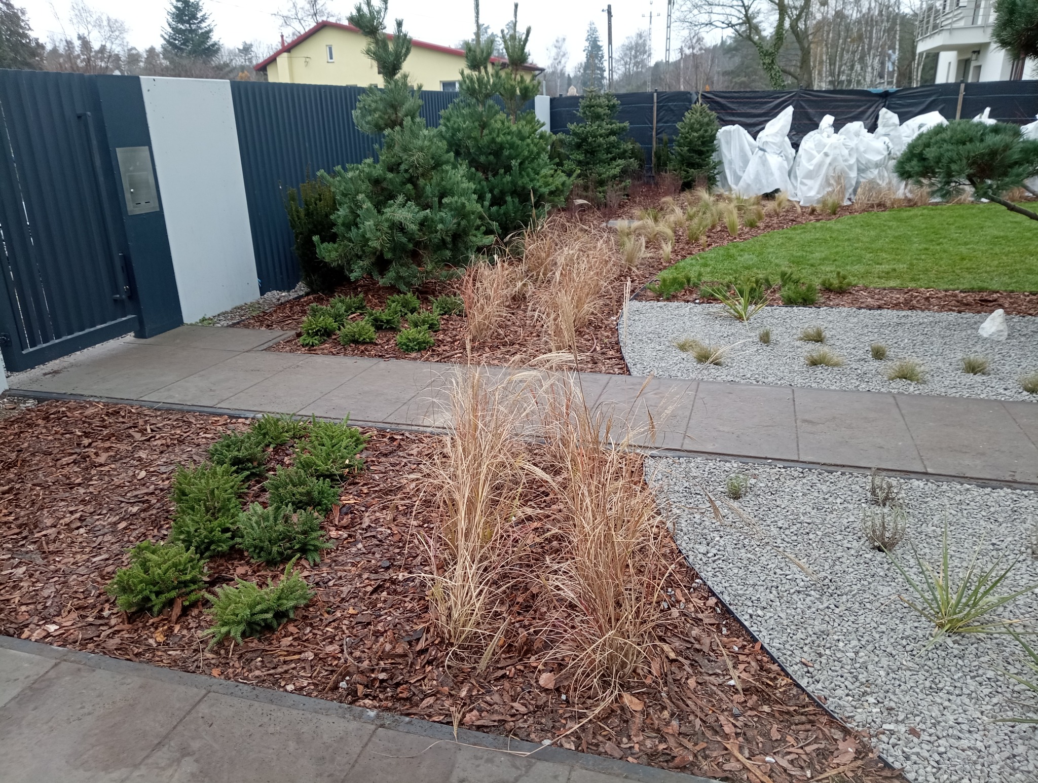 Nowoczesny ogród z korą, żwirem i ozdobnymi trawami przy ścieżce z płyt. W tle iglaki i rośliny okryte białą agrowłókniną. Granitowa brama w tle.