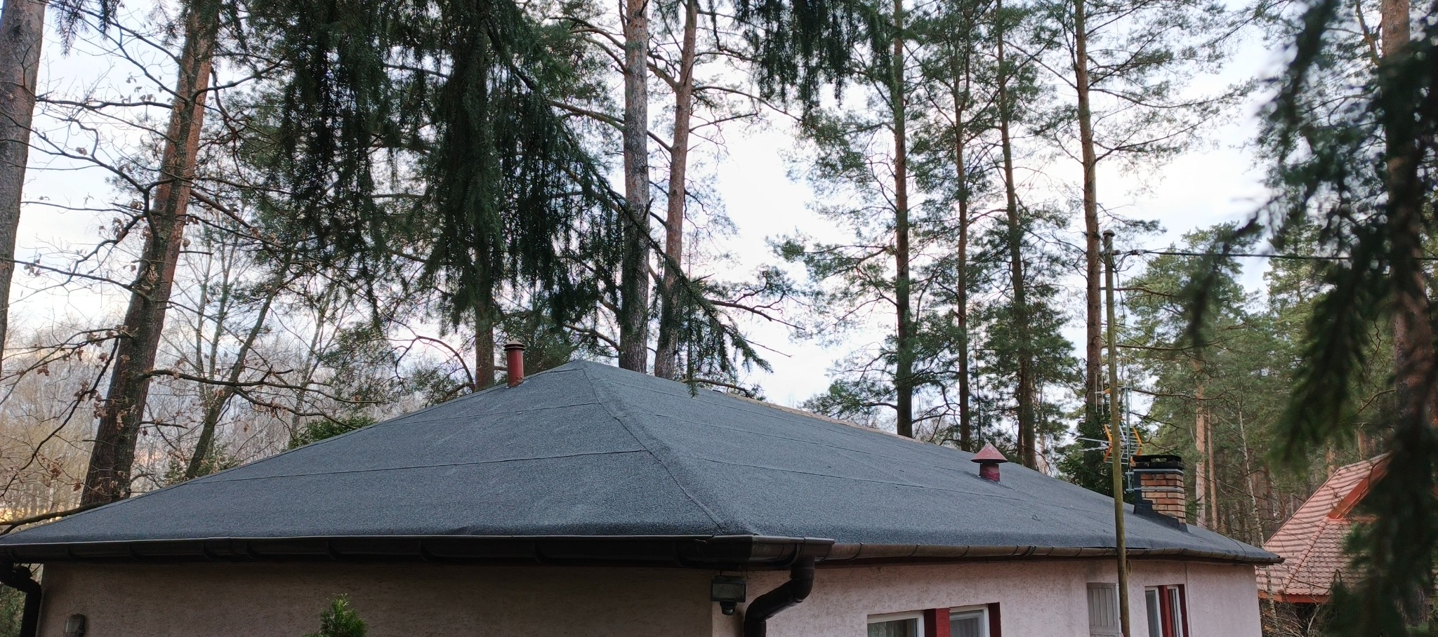 Szary dach pokryty papą termozgrzewalną na tle drzew. Widoczne rynny, komin i fragment elewacji budynku. Ujęcie z dołu, podkreślające strukturę dachu.