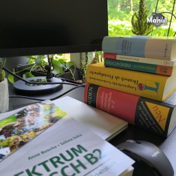 Manul Schule - Przygotowanie lekcji na poziom B2+