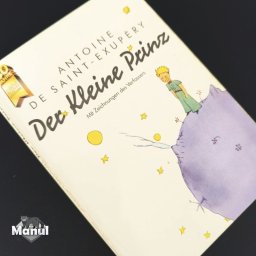 Manul Schule - Co czytać z klasyki żeby wzbogacić słownictwo