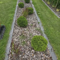 Trawa z rolki Mrągowo 4