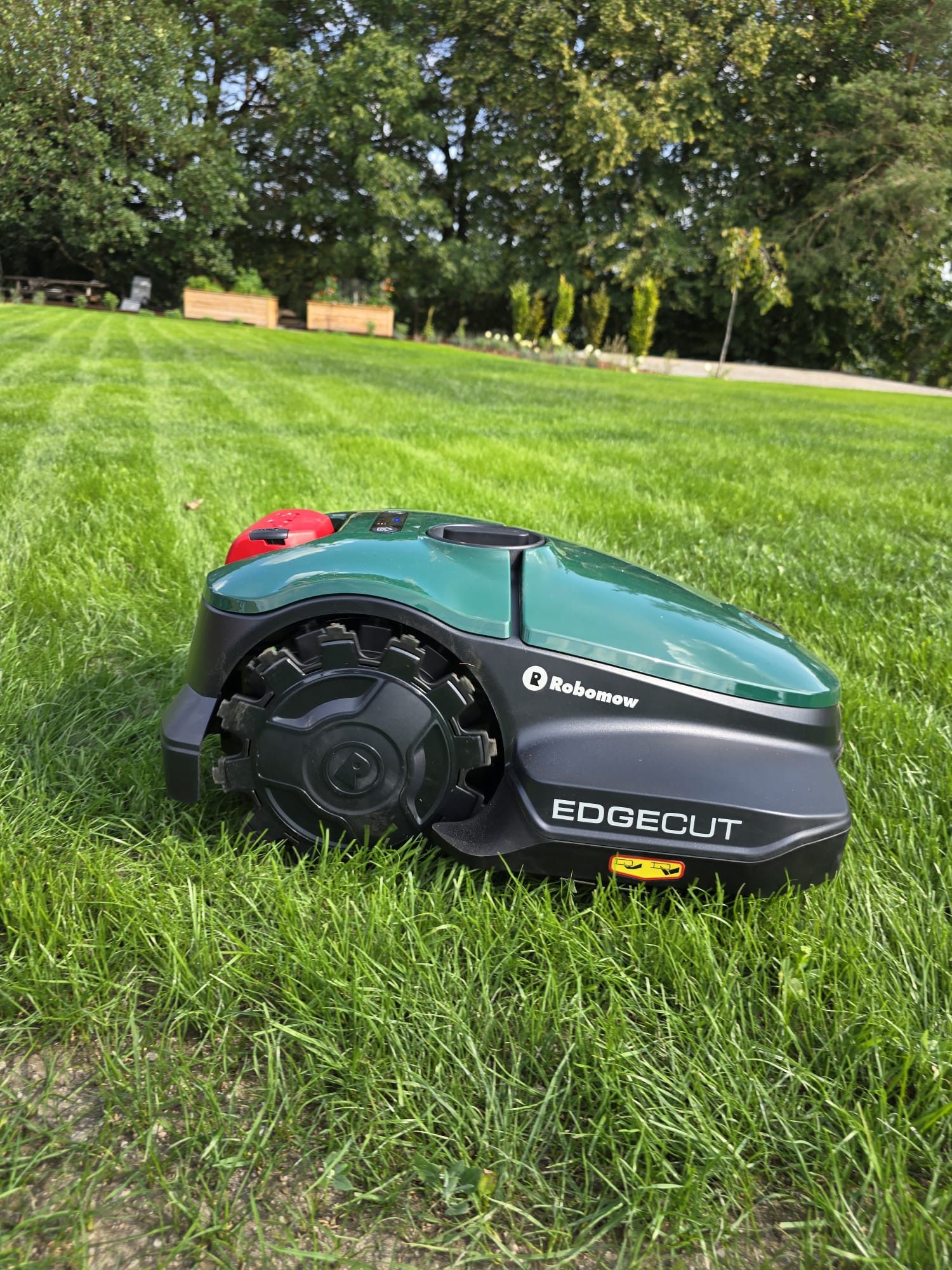 Zielony robot koszący Robomow EdgeCut na idealnie przystrzyżonym trawniku w słoneczny dzień, w tle widoczne drzewa i elementy drewnianej architektury ogrodowej.