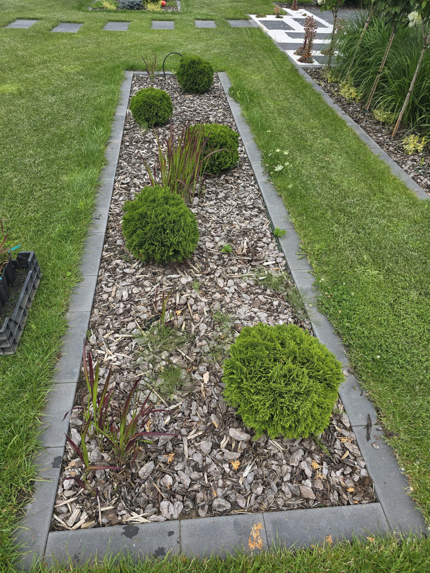 Kształtny rabat z kulistymi krzewami i ozdobnymi trawami, wyłożony korą, oddzielony kostką od trawnika.