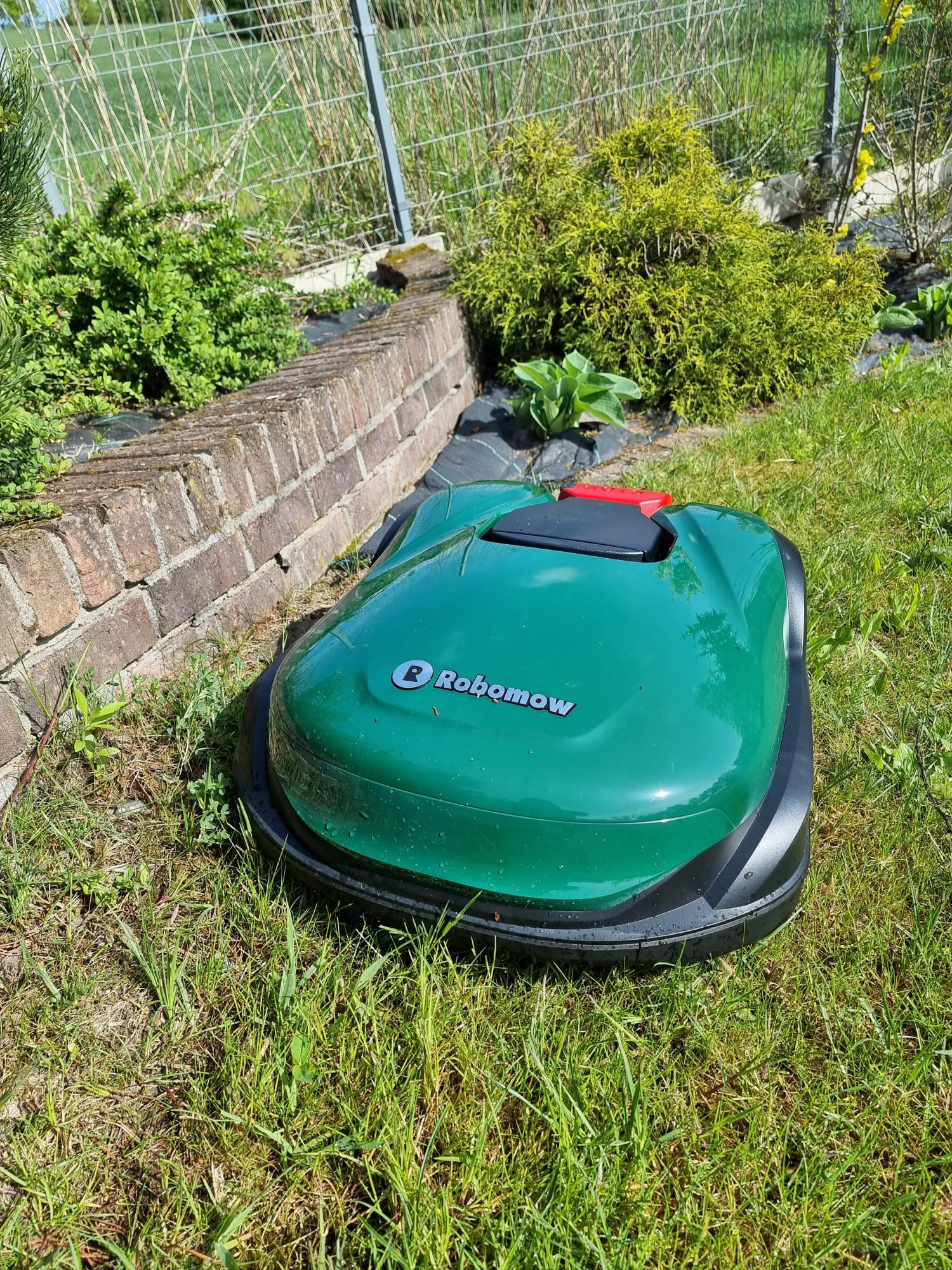 Zielona kosiarka automatyczna Robomow na trawniku z ceglanym obrzeżem rabaty w tle.