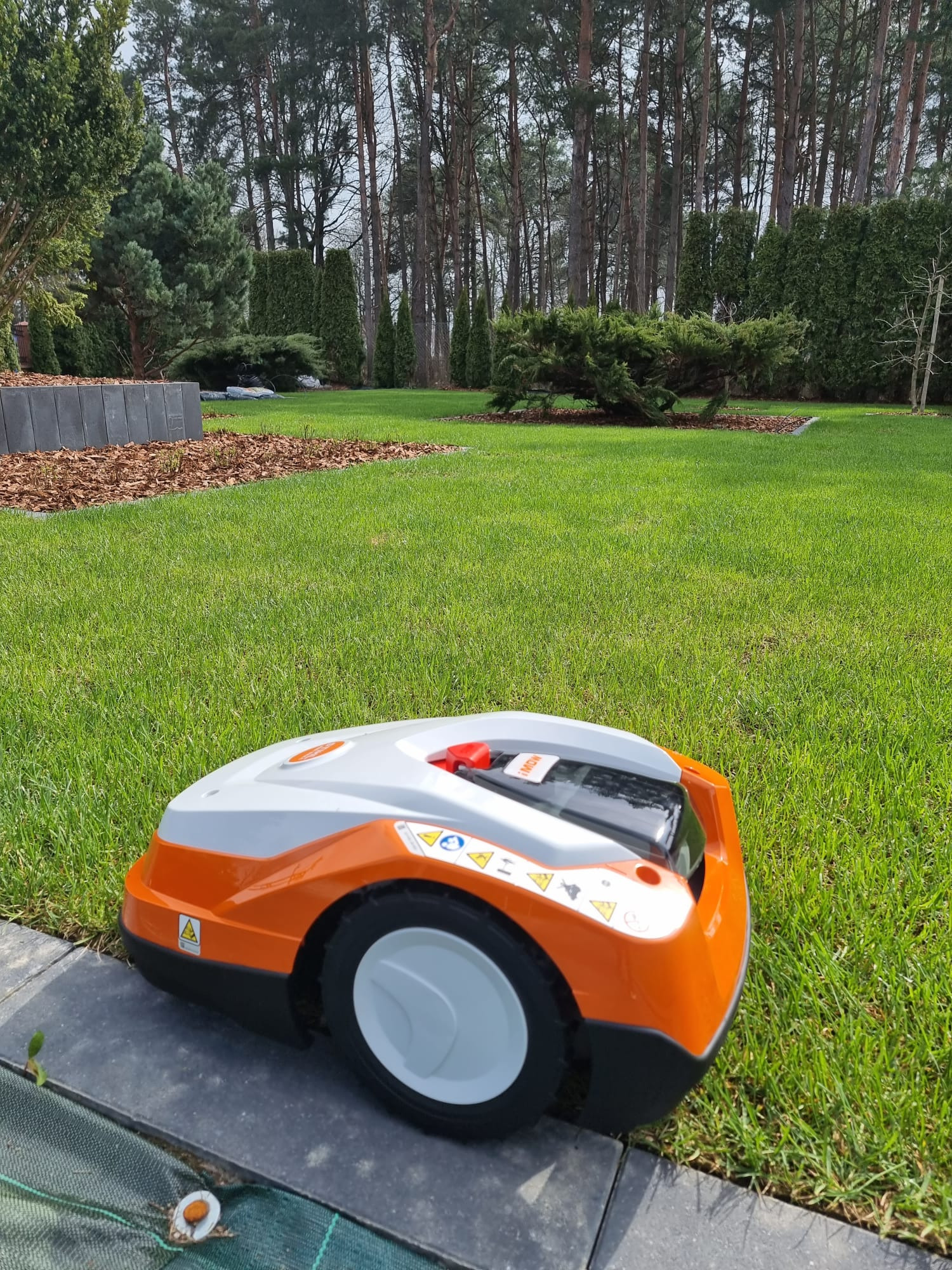 Automatyczna kosiarka do trawy w kolorze pomarańczowo-szarym na tle idealnie przystrzyżonego trawnika i drzew iglastych w ogrodzie.