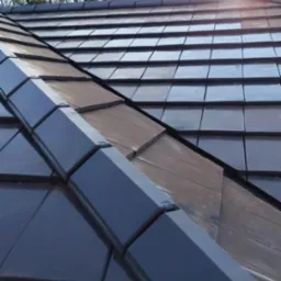 Błyszczący, nowy dach z ciemnej dachówki ceramicznej, widoczny w ukośnym ujęciu z bliska, z drzewami i słońcem w tle. Dach po deszczu.