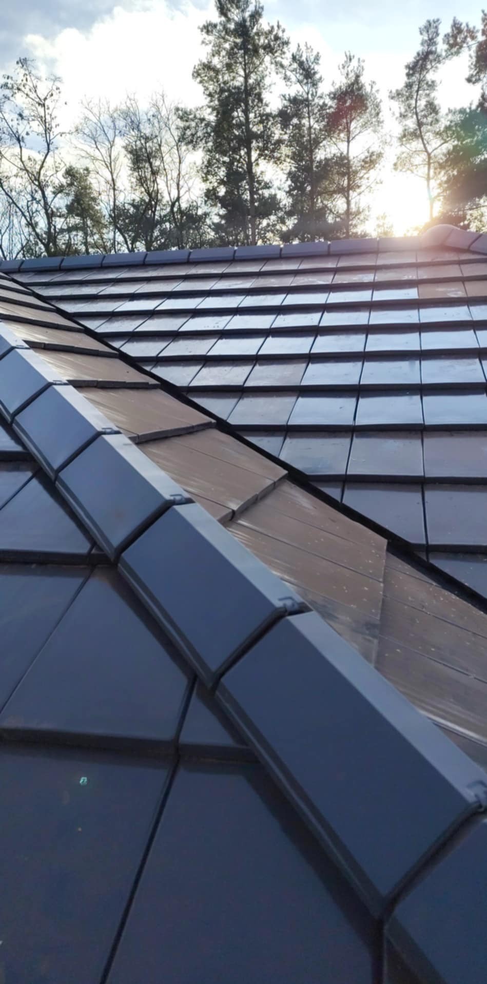 Błyszczący, nowy dach z ciemnej dachówki ceramicznej, widoczny w ukośnym ujęciu z bliska, z drzewami i słońcem w tle. Dach po deszczu.