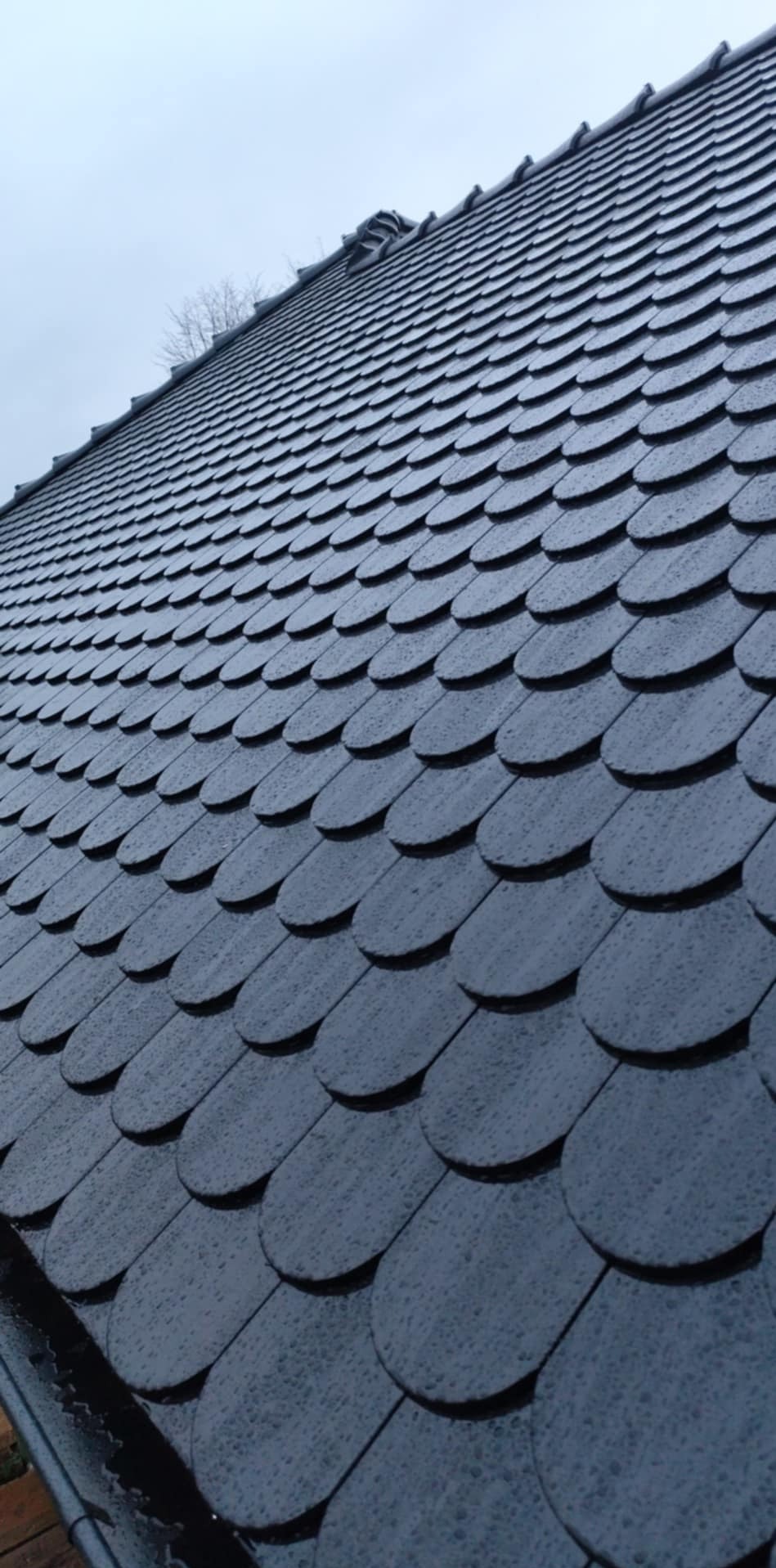 Nowe krycie dachu z łupka w kształcie rybiej łuski, lekko mokre od deszczu, widziane pod kątem. W tle fragment drzewa bez liści i pochmurne niebo.