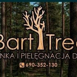 Wycinka drzew Zgierz 1