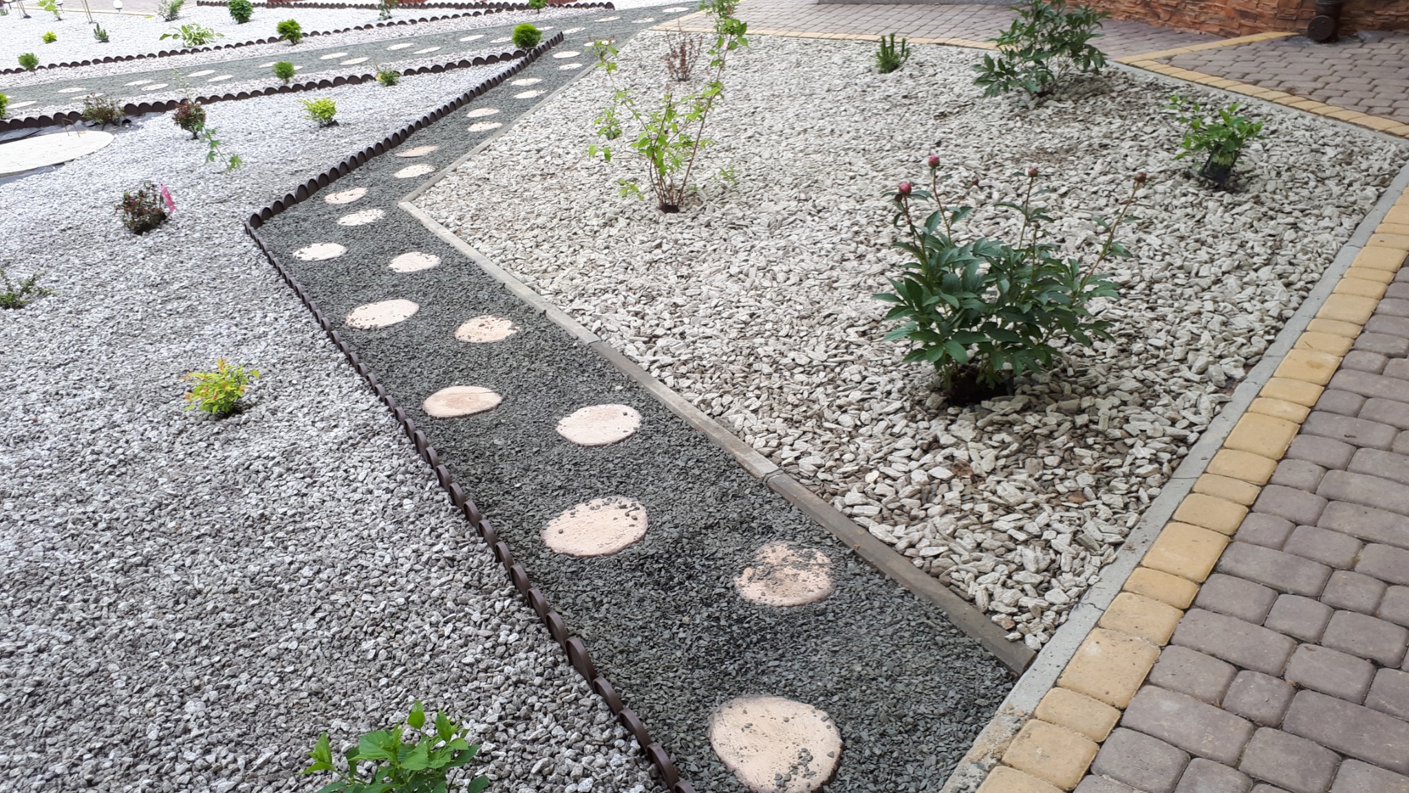 Ogród dekoracyjny z ścieżką z okrągłych płyt na szarym żwirku, obok rabata z białym żwirem i młodymi roślinami, wykończona kostką brukową.