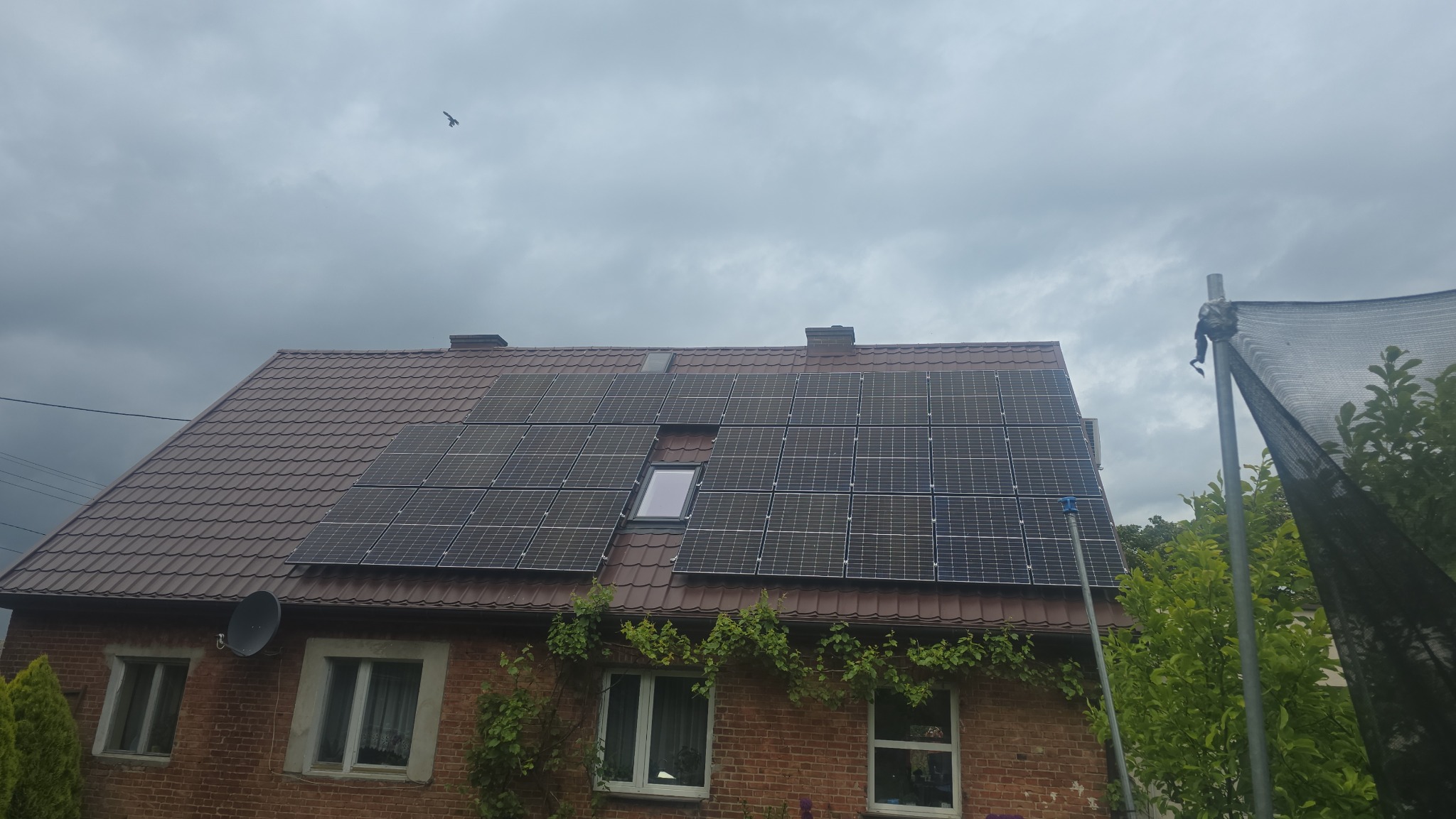 Ceglany dom z panelami słonecznymi na brązowym dachu, widok z dołu. Na niebie widoczny ptak. Z boku roślinność.