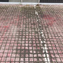 Jarek Wachowiak - Czerwona kostka brukowa z białym pasem, miejscami porośnięta mchem i brudem. Widoczne ślady czyszczenia wzdłuż pasa. U góry fragment budynku.