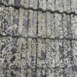 Mycie elewacji Poznań 1