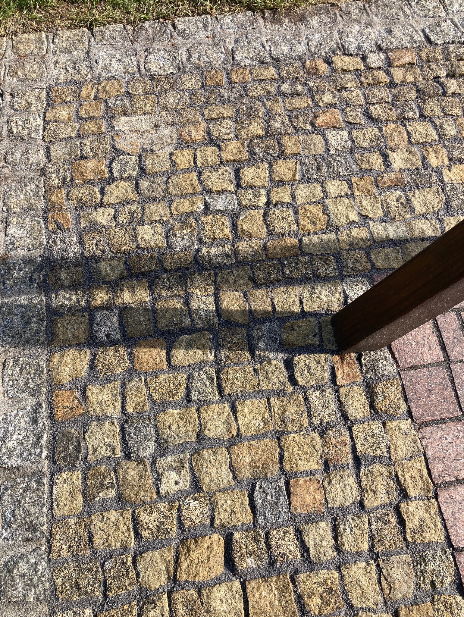 Żółta kostka brukowa na zewnątrz, oświetlona słońcem, z fragmentem drewnianej konstrukcji w prawym dolnym rogu i zieloną trawą w górnej części kadru.