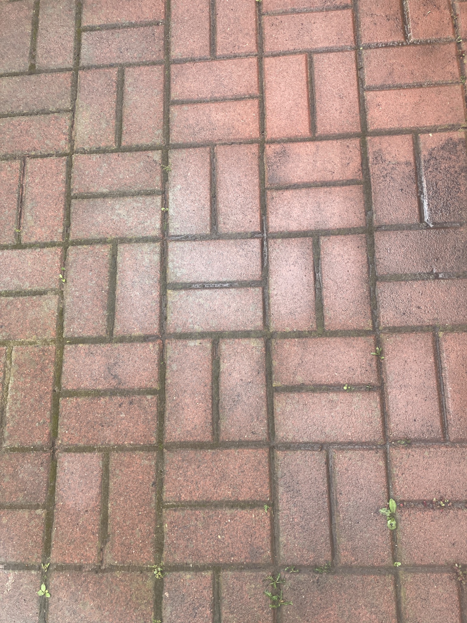 Czerwona kostka brukowa ułożona w regularny wzór, z widocznymi śladami wilgoci i niewielkimi chwastami w spoinach, sfotografowana z góry.