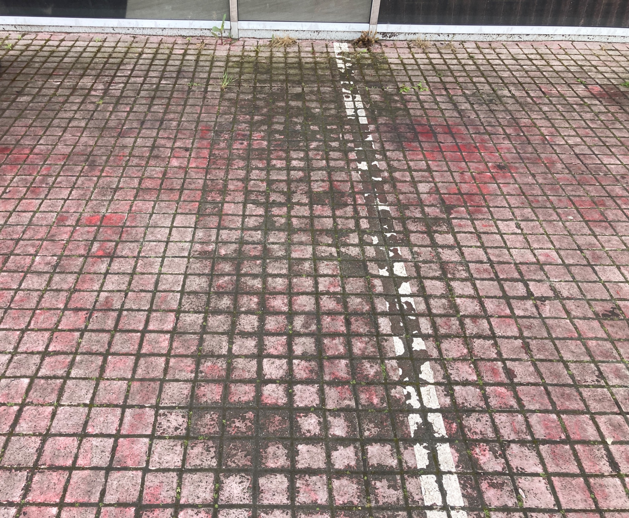 Czerwona kostka brukowa z białym pasem, miejscami porośnięta mchem i brudem. Widoczne ślady czyszczenia wzdłuż pasa. U góry fragment budynku.