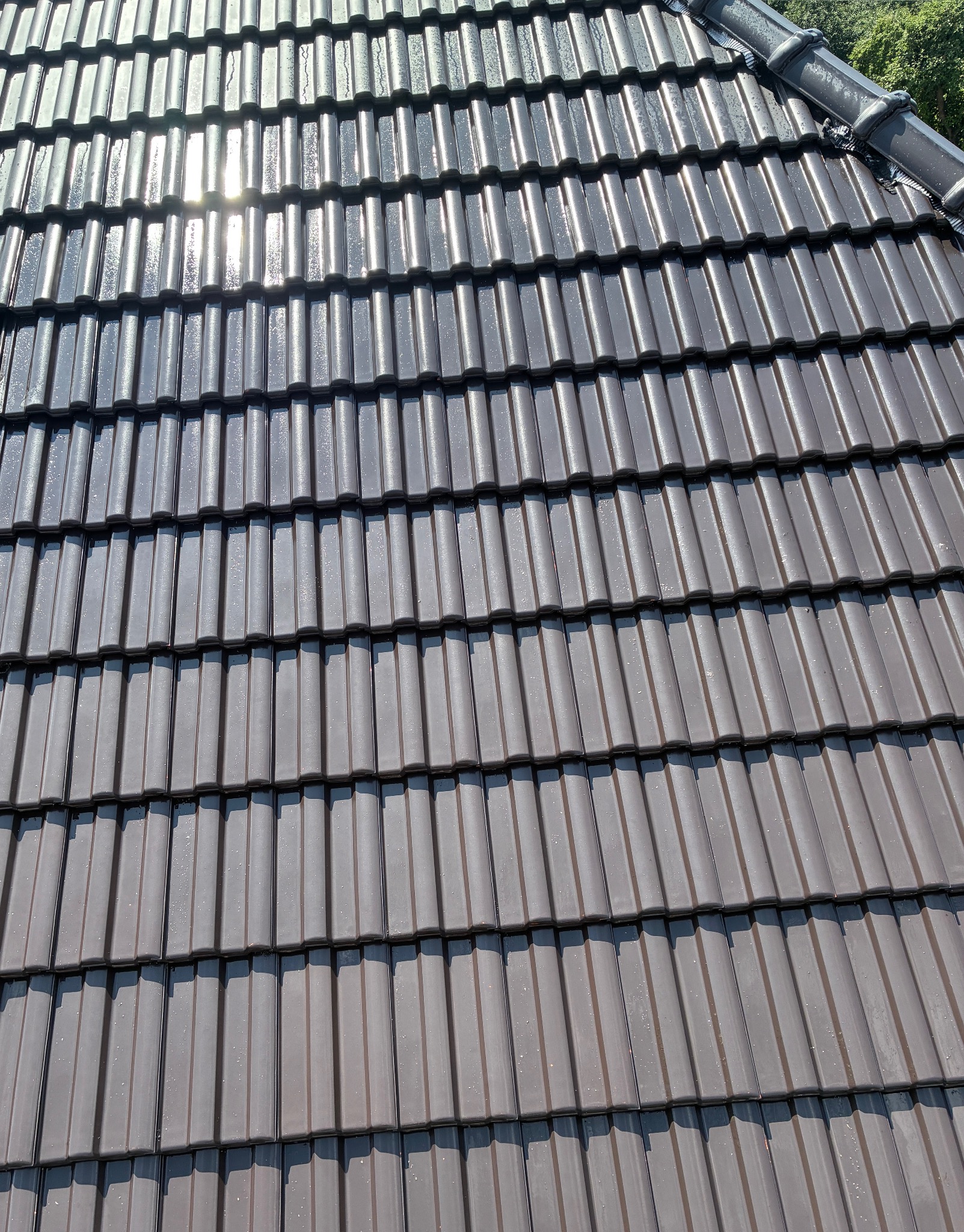 Czysty, brązowy dach z dachówki ceramicznej po umyciu w Poznaniu. Widoczne krople wody i odbicie słońca. Regularny układ dachówek, fragment zieleni w tle.